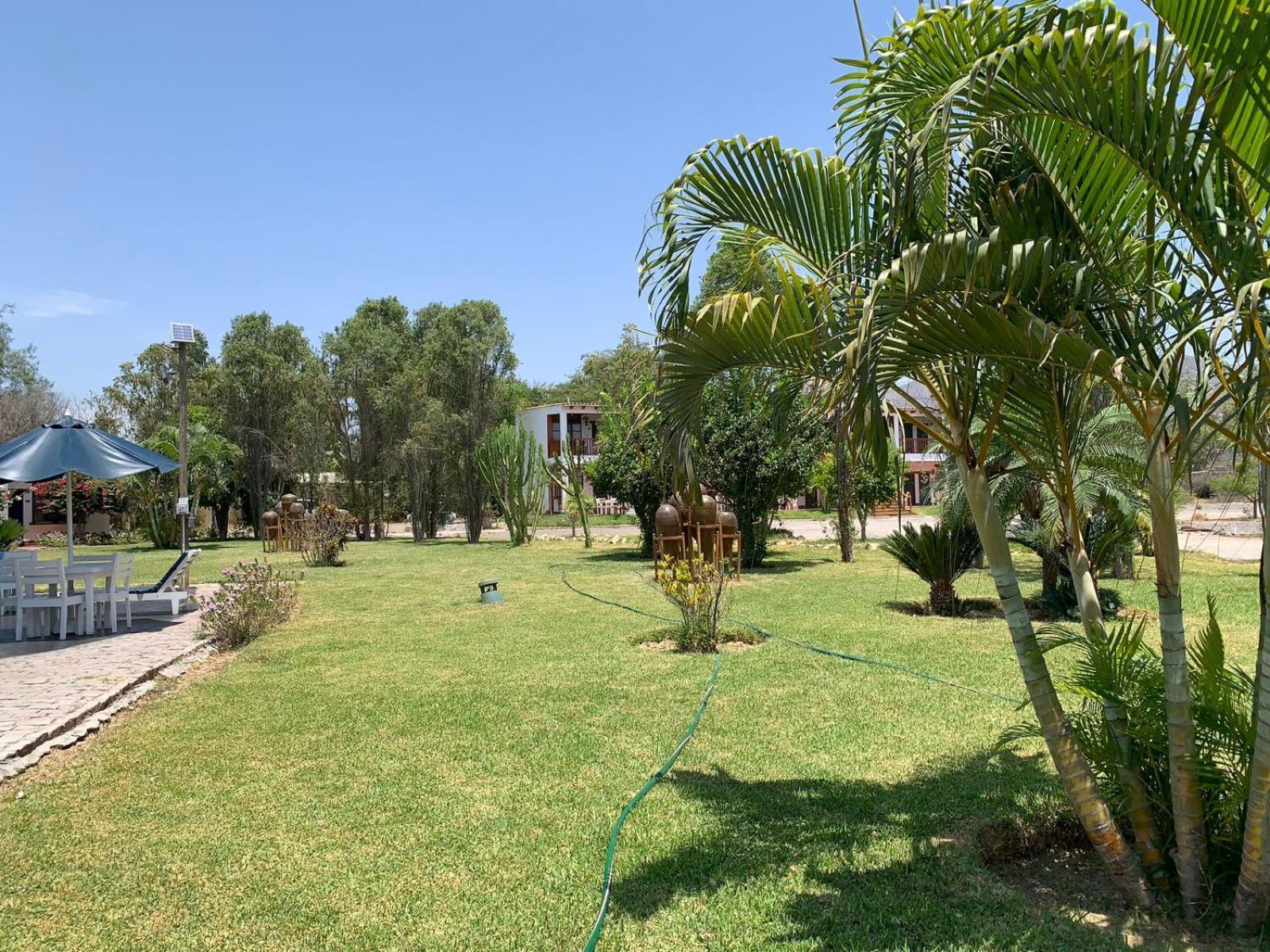 Casa Hacienda Nasca Oasis Hotel Nazca Eksteriør billede