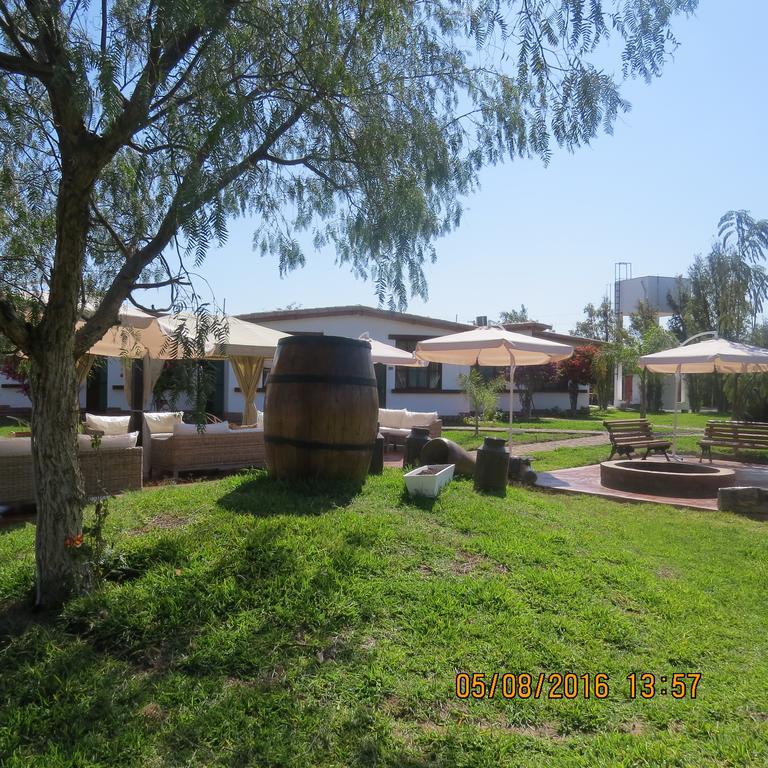 Casa Hacienda Nasca Oasis Hotel Nazca Eksteriør billede