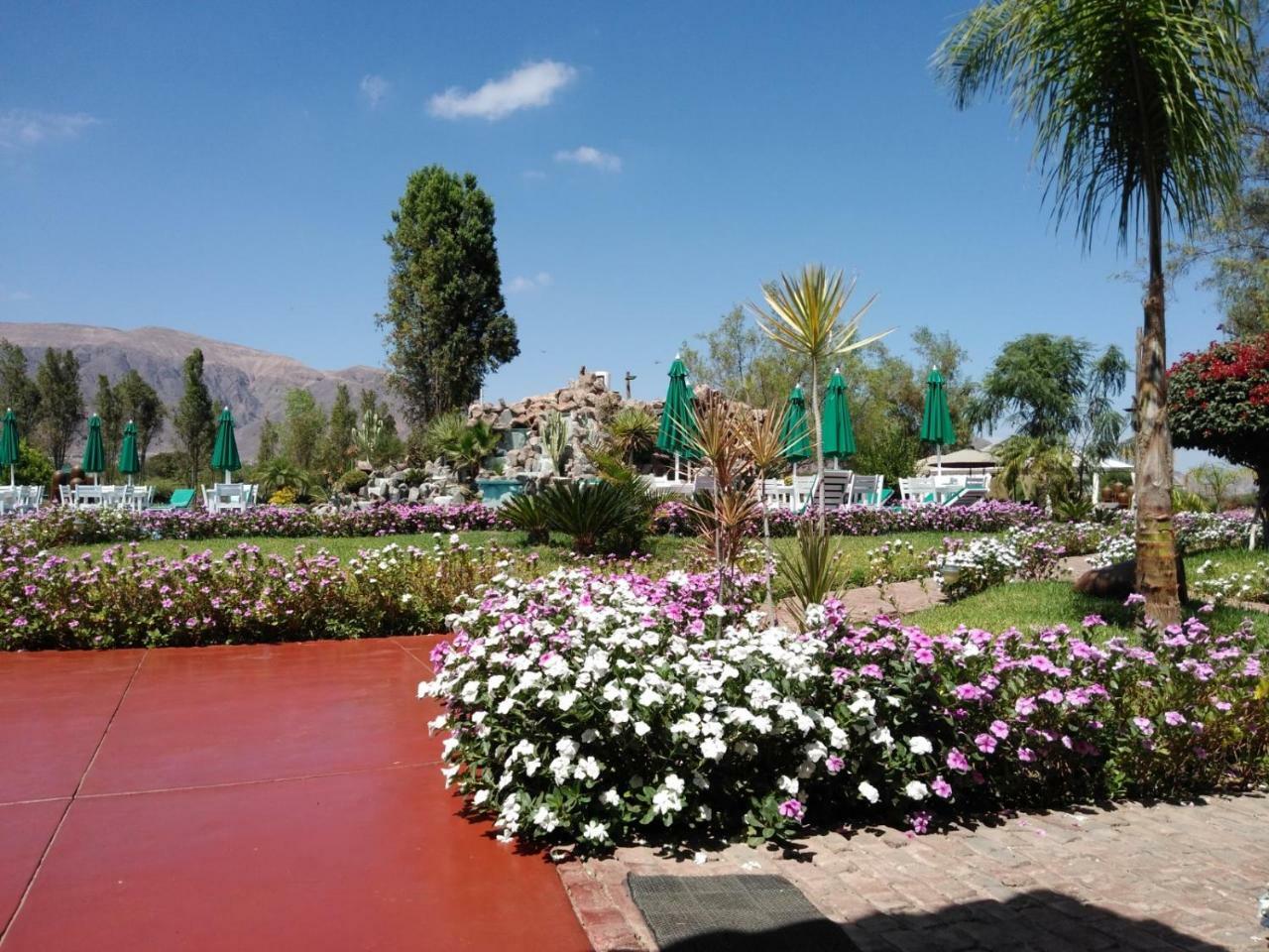 Casa Hacienda Nasca Oasis Hotel Nazca Eksteriør billede