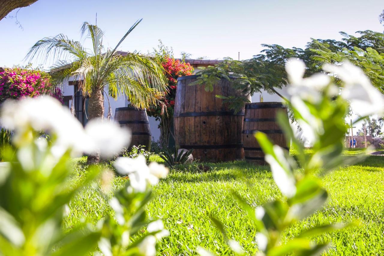Casa Hacienda Nasca Oasis Hotel Nazca Eksteriør billede